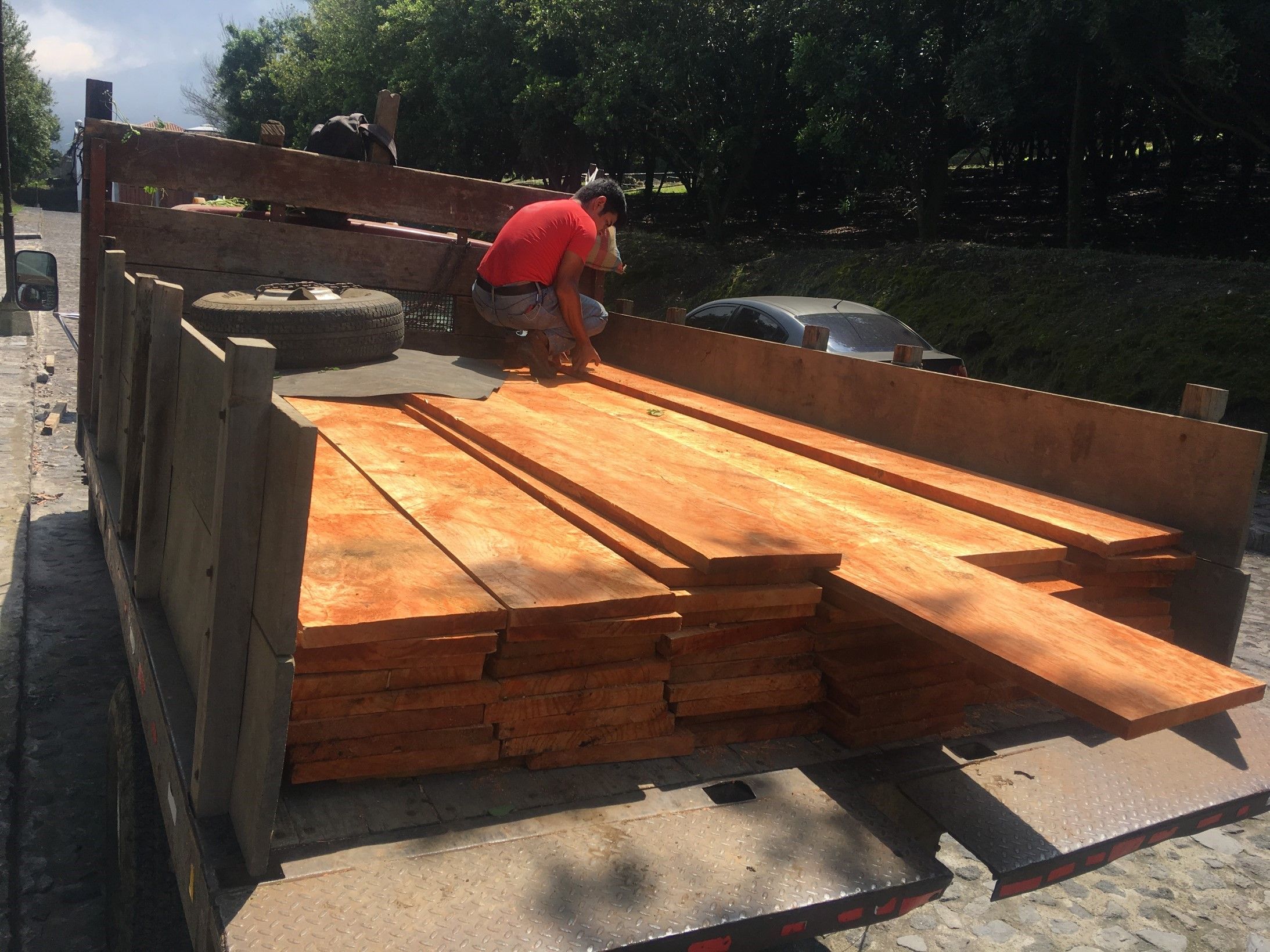 MADERA Red alder (ilamo)